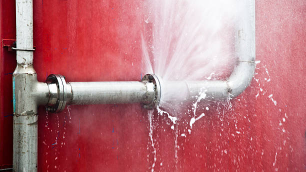 Best Carpet water damage restoration  in Bloomington, MN